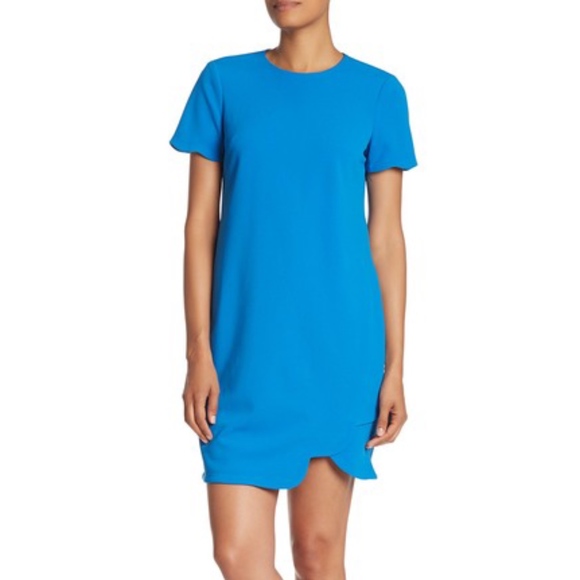 Maggy London Dresses & Skirts - NWT MAGGY LONDON Scalloped Lined Shift Dress